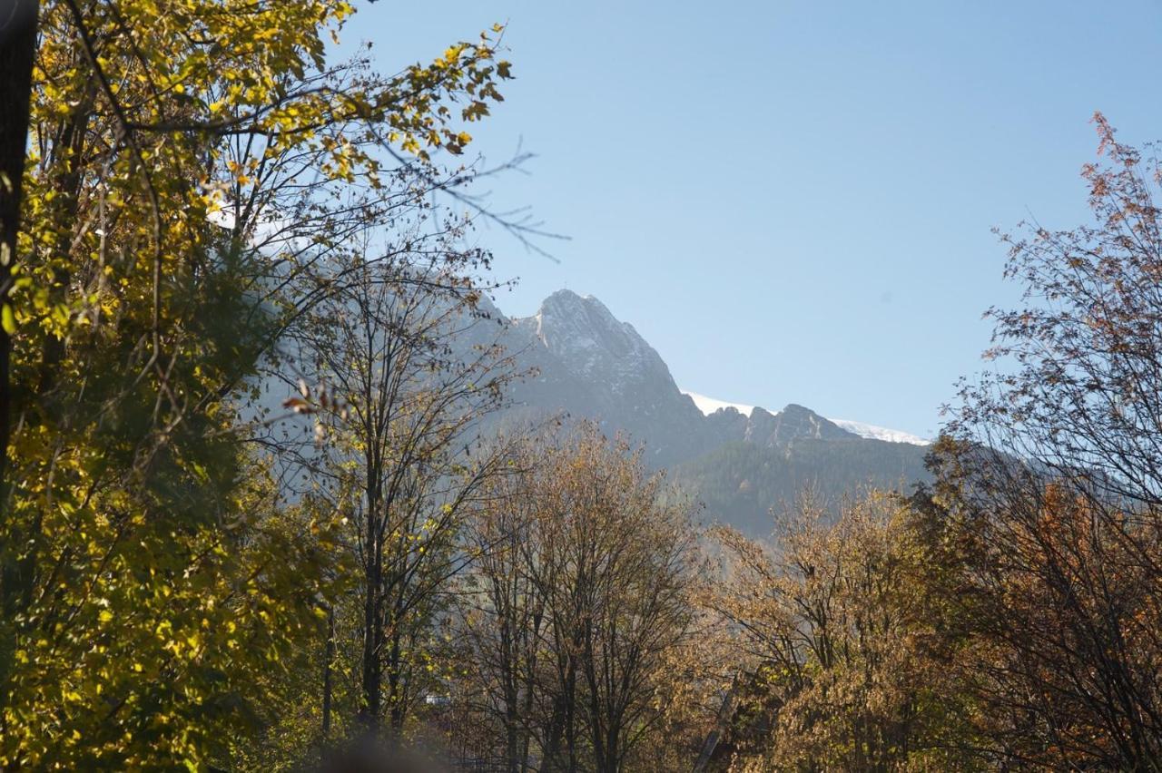 Apartament Pod Orlem Zakopane Esterno foto